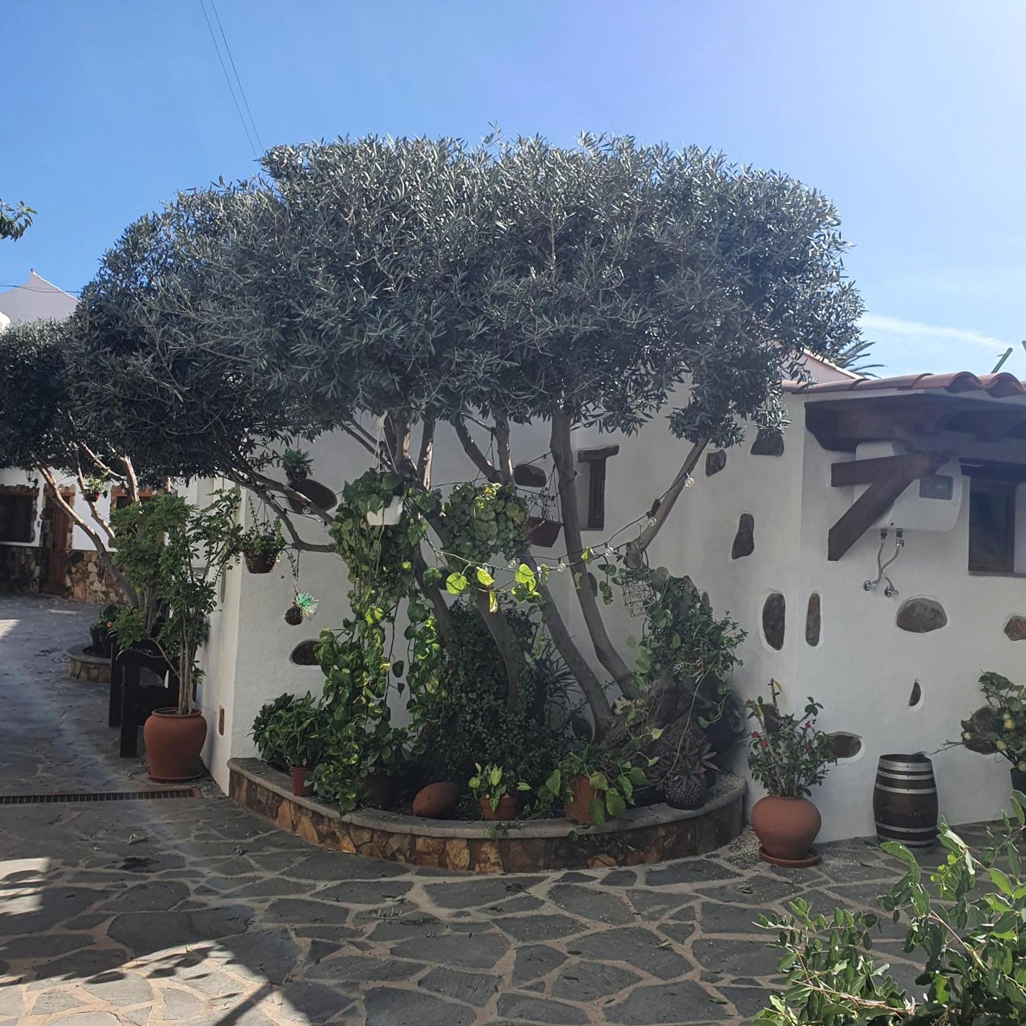 La Gallania De Papa Pepe Santa Lucia De Tirajana Exterior photo